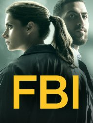 F.B.I. SAISON 2